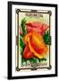 Eschscholtzia Seed Packet-Lantern Press-Framed Art Print