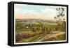 Escondido Valley, San Diego County, California-null-Framed Stretched Canvas