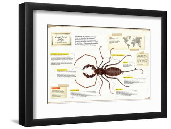 Photographic Print, , large