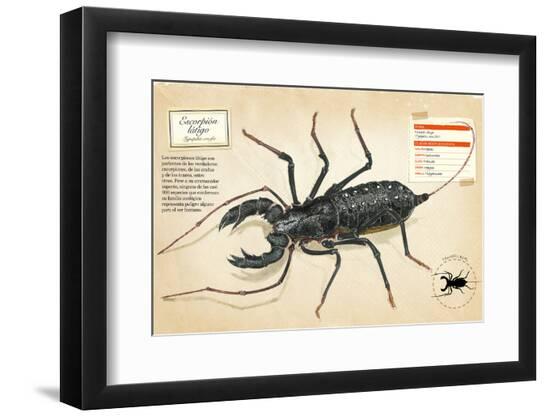 Photographic Print, , large