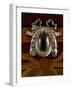 Escutcheon-null-Framed Giclee Print