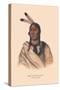 Esh-Ta-Hum-Leah, Sioux Chief-null-Stretched Canvas