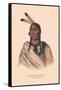 Esh-Ta-Hum-Leah, Sioux Chief-null-Framed Stretched Canvas