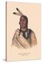 Esh-Ta-Hum-Leah, Sioux Chief-null-Stretched Canvas