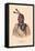 Esh-Ta-Hum-Leah, Sioux Chief-null-Framed Stretched Canvas