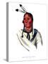 Eshtahumbah (Sleepy Eyes), a Sioux Chief-Charles Bird King-Stretched Canvas