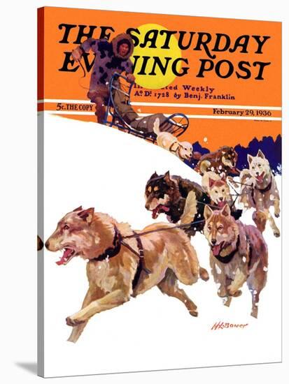 "Eskimo and Dog Sled," Saturday Evening Post Cover, February 29, 1936-Maurice Bower-Stretched Canvas