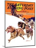 "Eskimo and Dog Sled," Saturday Evening Post Cover, February 29, 1936-Maurice Bower-Mounted Giclee Print