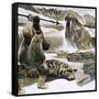 Eskimo Attacking Walrus-English School-Framed Stretched Canvas