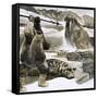 Eskimo Attacking Walrus-English School-Framed Stretched Canvas