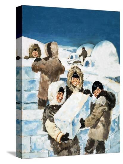Stretched Canvas Print, , large