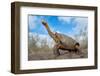 Espanola giant Galapagos tortoise stretching its neck-Tui De Roy-Framed Photographic Print