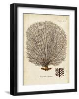 Esper Sea Fans I-Johann Esper-Framed Art Print