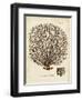 Esper Sea Fans I-Johann Esper-Framed Art Print