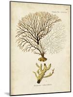 Esper Sea Fans V-Johann Esper-Mounted Art Print