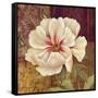 Esperance Peony-Pamela Gladding-Framed Stretched Canvas