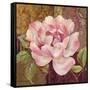 Esperance Rose-Pamela Gladding-Framed Stretched Canvas