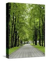 Esplanade, Green Park Near the Russian Orthodox Cathedral, Riga, Latvia, Baltic States-Gary Cook-Stretched Canvas