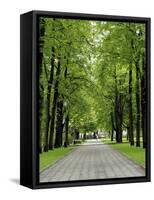 Esplanade, Green Park Near the Russian Orthodox Cathedral, Riga, Latvia, Baltic States-Gary Cook-Framed Stretched Canvas