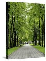 Esplanade, Green Park Near the Russian Orthodox Cathedral, Riga, Latvia, Baltic States-Gary Cook-Stretched Canvas