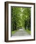 Esplanade, Green Park Near the Russian Orthodox Cathedral, Riga, Latvia, Baltic States-Gary Cook-Framed Photographic Print