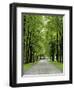 Esplanade, Green Park Near the Russian Orthodox Cathedral, Riga, Latvia, Baltic States-Gary Cook-Framed Photographic Print