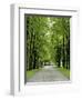 Esplanade, Green Park Near the Russian Orthodox Cathedral, Riga, Latvia, Baltic States-Gary Cook-Framed Photographic Print