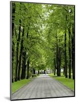 Esplanade, Green Park Near the Russian Orthodox Cathedral, Riga, Latvia, Baltic States-Gary Cook-Mounted Photographic Print