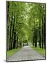 Esplanade, Green Park Near the Russian Orthodox Cathedral, Riga, Latvia, Baltic States-Gary Cook-Mounted Photographic Print