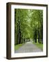 Esplanade, Green Park Near the Russian Orthodox Cathedral, Riga, Latvia, Baltic States-Gary Cook-Framed Photographic Print