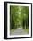 Esplanade, Green Park Near the Russian Orthodox Cathedral, Riga, Latvia, Baltic States-Gary Cook-Framed Photographic Print