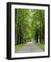 Esplanade, Green Park Near the Russian Orthodox Cathedral, Riga, Latvia, Baltic States-Gary Cook-Framed Photographic Print