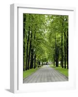 Esplanade, Green Park Near the Russian Orthodox Cathedral, Riga, Latvia, Baltic States-Gary Cook-Framed Photographic Print