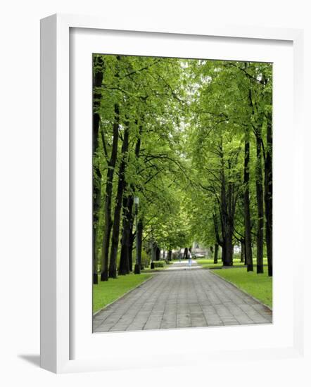 Esplanade, Green Park Near the Russian Orthodox Cathedral, Riga, Latvia, Baltic States-Gary Cook-Framed Photographic Print