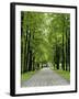 Esplanade, Green Park Near the Russian Orthodox Cathedral, Riga, Latvia, Baltic States-Gary Cook-Framed Photographic Print