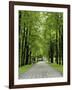 Esplanade, Green Park Near the Russian Orthodox Cathedral, Riga, Latvia, Baltic States-Gary Cook-Framed Photographic Print