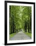 Esplanade, Green Park Near the Russian Orthodox Cathedral, Riga, Latvia, Baltic States-Gary Cook-Framed Photographic Print