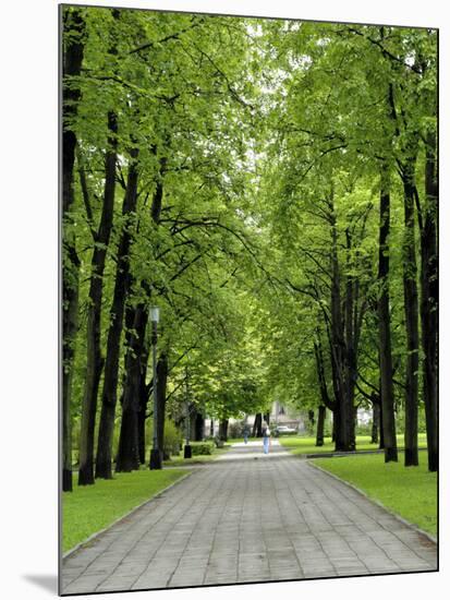 Esplanade, Green Park Near the Russian Orthodox Cathedral, Riga, Latvia, Baltic States-Gary Cook-Mounted Photographic Print