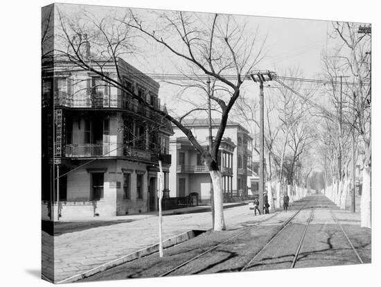 Esplanade Street, New Orleans-null-Stretched Canvas