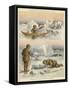 Esquimaux Hunting Walrus and Seals-null-Framed Stretched Canvas