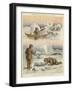 Esquimaux Hunting Walrus and Seals-null-Framed Giclee Print