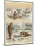 Esquimaux Hunting Walrus and Seals-null-Mounted Giclee Print