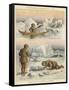 Esquimaux Hunting Walrus and Seals-null-Framed Stretched Canvas