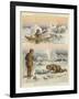 Esquimaux Hunting Walrus and Seals-null-Framed Giclee Print