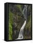 Ess-Na-Larach Waterfall, County Antrim, Ulster, Northern Ireland, UK-Neale Clarke-Framed Stretched Canvas