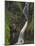 Ess-Na-Larach Waterfall, County Antrim, Ulster, Northern Ireland, UK-Neale Clarke-Mounted Photographic Print