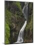 Ess-Na-Larach Waterfall, County Antrim, Ulster, Northern Ireland, UK-Neale Clarke-Mounted Photographic Print