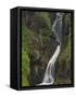 Ess-Na-Larach Waterfall, County Antrim, Ulster, Northern Ireland, UK-Neale Clarke-Framed Stretched Canvas