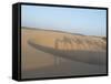 Essaouira Beach Camel Shadows, Morocco, North Africa, Africa-Charles Bowman-Framed Stretched Canvas