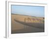 Essaouira Beach Camel Shadows, Morocco, North Africa, Africa-Charles Bowman-Framed Photographic Print